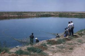 پنج هزار هکتار از آببندانهای بزرگ استان مازندران میتواند ماهیدار شود