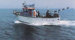 صید  1159 تن ماهی کیلکا دراستان مازندران تا نیمه تیر ماه سال جاری 