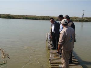 بازدید مدیرکل شیلات و هیئت همراه  از مزارع آبزی پروری و نشست با فعالین  این بخش در سطح منطقه شهرستانهای بهشهر ، گلوگاه و نکا 