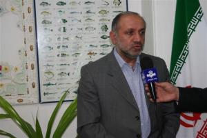        حبیب نژاد ، مدیرکل شیلات مازندران خبرداد :صید بیش از 870  تن ماهي كيلكا در استان مازندران 