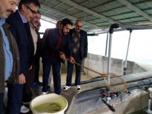 افتتاح پروژه پرورش ماهی سردآبی در شهرستان تنکابن_ خرم آباد