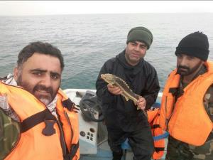 فرمانده یگان حفاظت منابع آبزیان مازندران خبرداد:رهاسازی 164 قطعه ماهی خاویاری نارس به دریا پس از کشف ازصیادان غیر مجاز