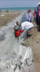  مراسم رهاسازی بچه ماهی سفید تکثیر شده به روش تکثیر طبیعی در پروژه شیل گذاری تعاونی پره ماهیگیری ساحل دوست محمودآباد