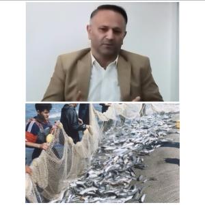 مدیرکل شیلات مازندران از افزایش ۱۲ درصدی صید ماهیان استخوانی در استان خبرداد