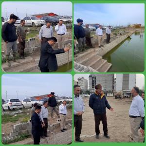 بازدید مدیرکل شیلات مازندران ازسه استخر طرح کمک به تکثیر طبیعی ماهیان دریایی شهرستانهای فریدونکنار و محمود آباد 