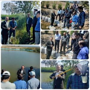 بازدید مدیران شیلات منطقه ۳ کشور از طرح کمک به تکثیر طبیعی آبزیان در استان مازندران