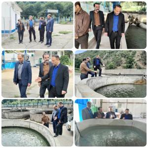 مدیرکل شیلات مازندران بر تقویت زیرساخت‌ها و امکانات  مرکز بازسازی آزاد ماهیان کلاردشت تاکید کرد.