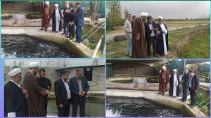 بازدید از مزرعه پرورش ماهی خاویاری درشهرستان آمل