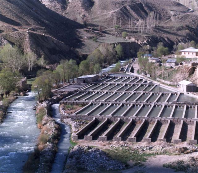 مدیرکل شیلات مازندران خبرداد : 5 پروژه پرورش ماهی سردآبی باظرفیت تولید 175 تن دردهه فجرامسال افتتاح خواهد شد .