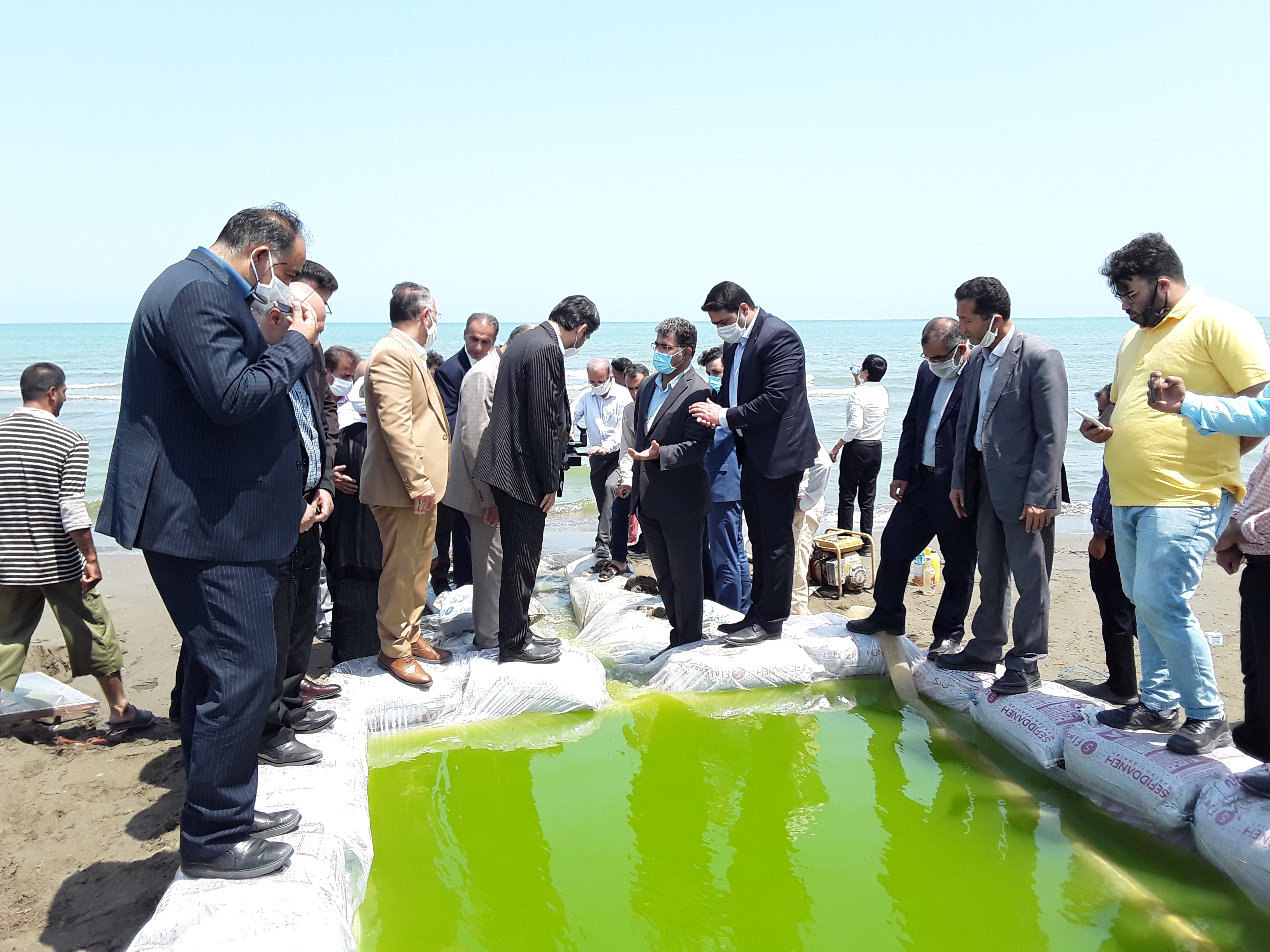 رها سازی 400 هزارقطعه بچه ماهی سفید به دریا درشهرستان فریدونکنار 