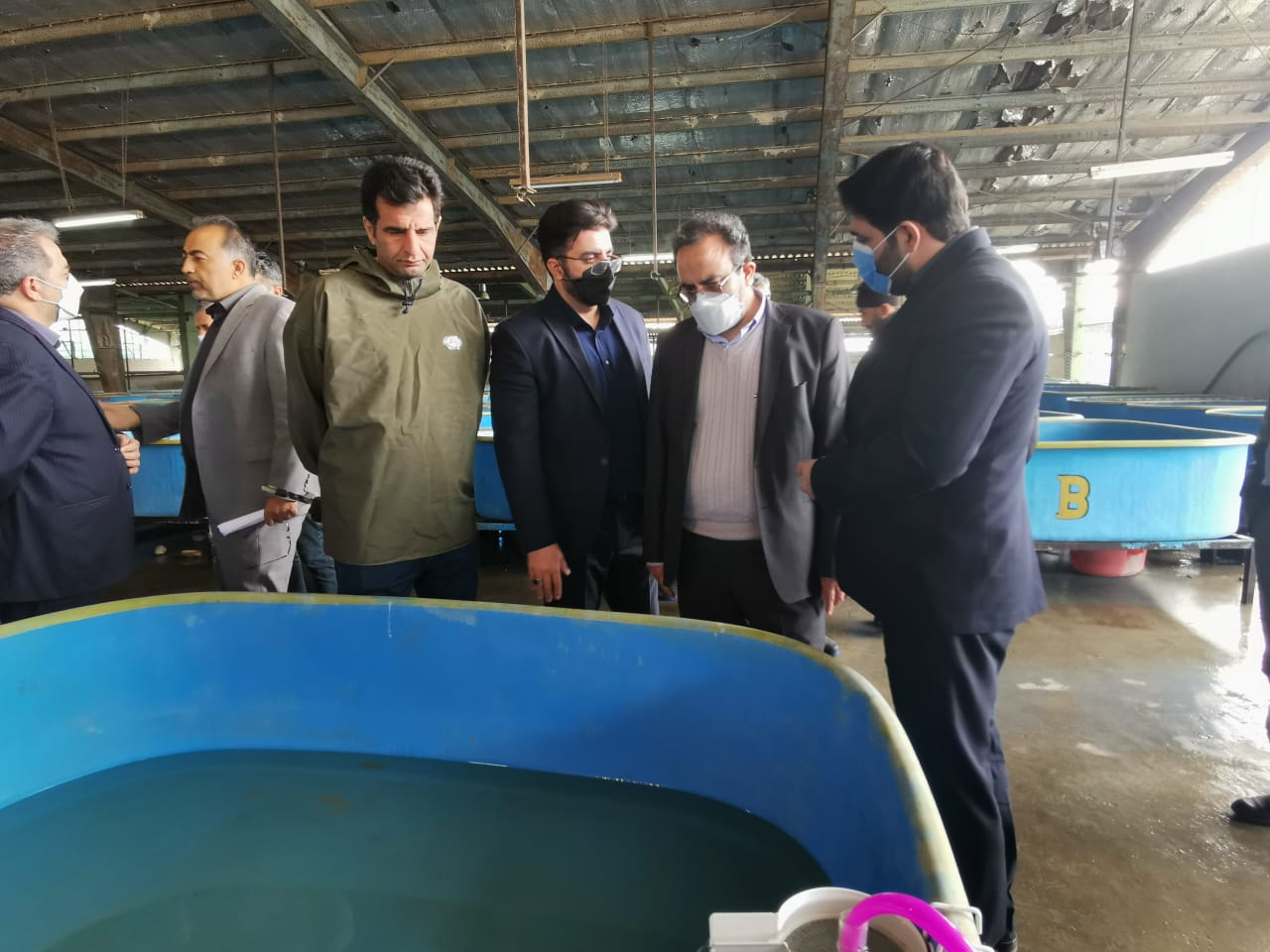 بازدید سرپرست سازمان شیلات ایران از مرکز بازسازی و حفاظت از ذخایر ژنتیکی شهید رجایی ساری