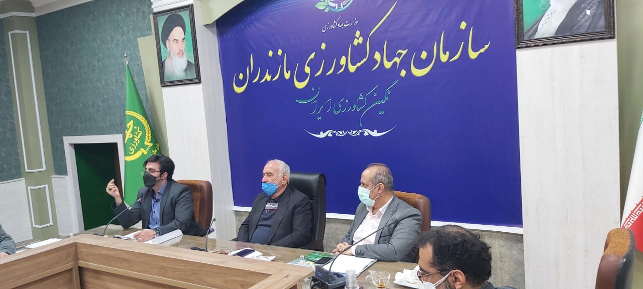 برگزاری جلسه رفع موانع تولید در سازمان جهاد کشاورزی استان